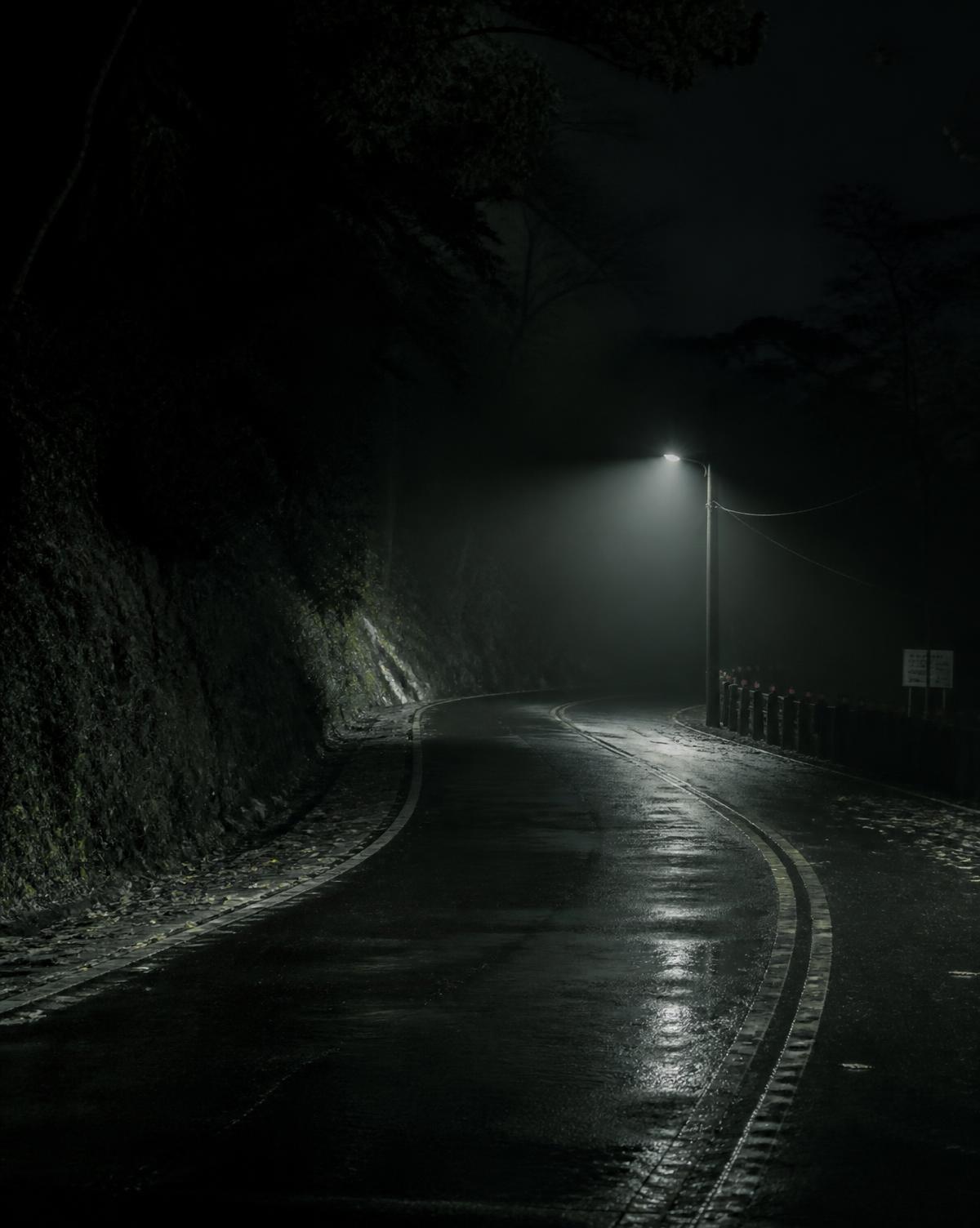 An empty rain-wet road disappearing into low night fog